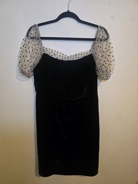 Camila Coelho Velvet Dress w/ Polka Dot Mesh Sleeves L